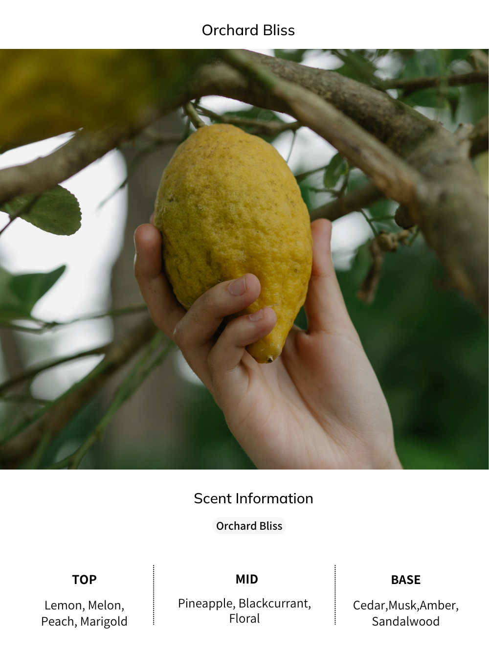 Minimalistischer Räucherbecher mit Stiel