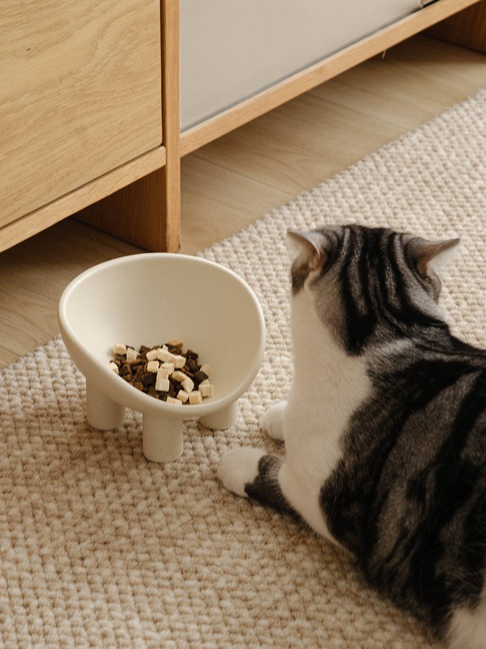 Squash Pet Bowl - additional view 4