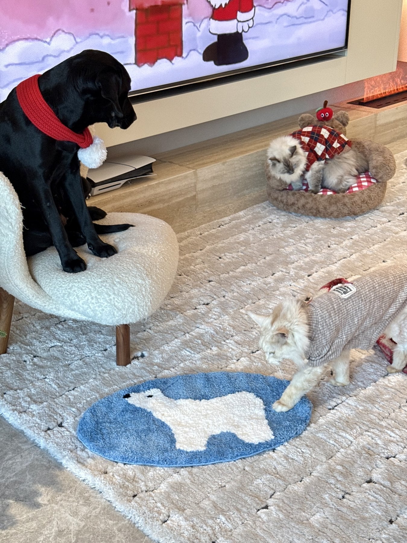 Polar Bear Rug Styling for a Cozy Reading Corner