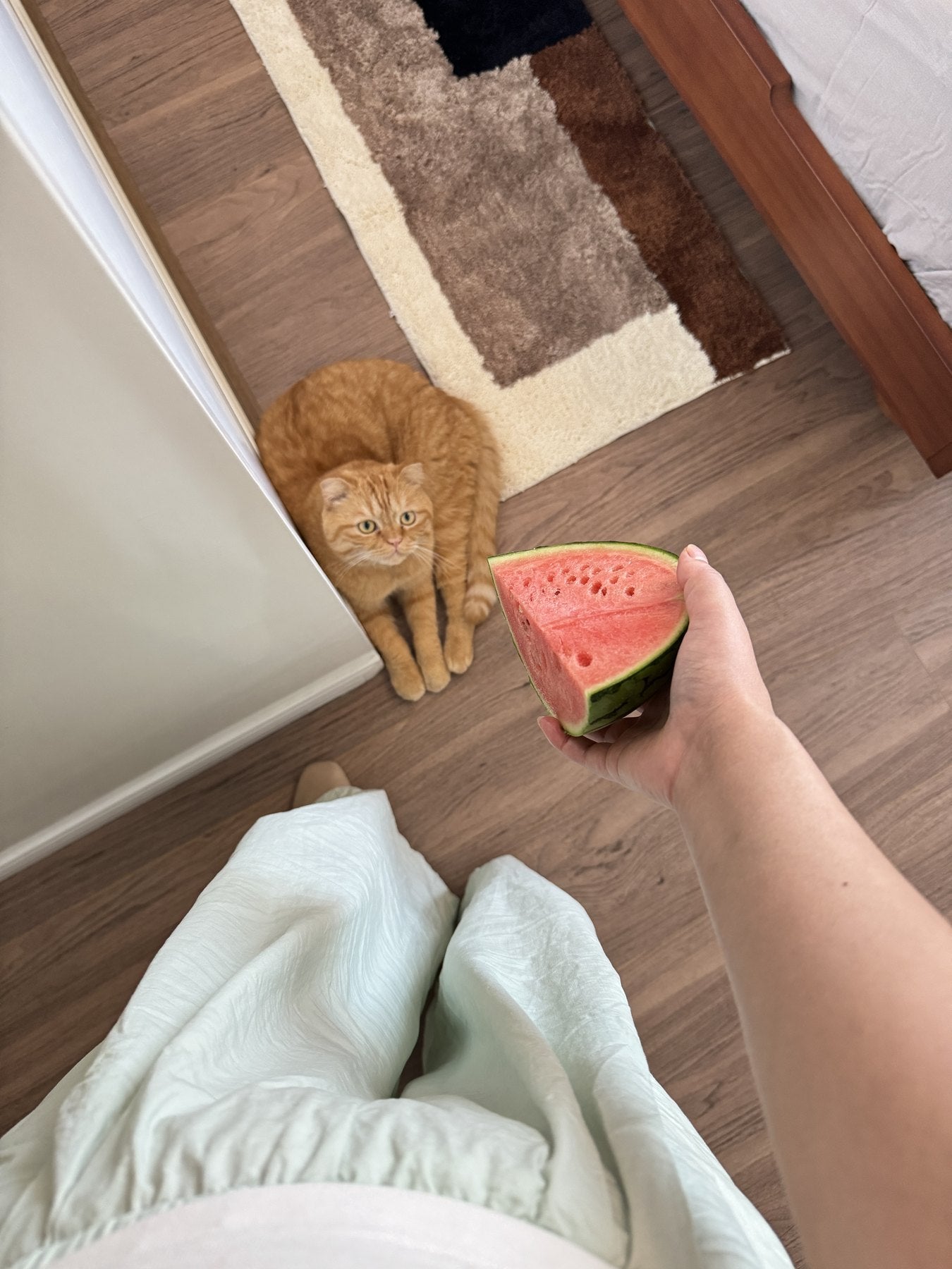 Striped Towel beside a Quiet Daily Object