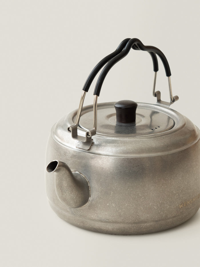 Ironia Stainless steel handle kettle