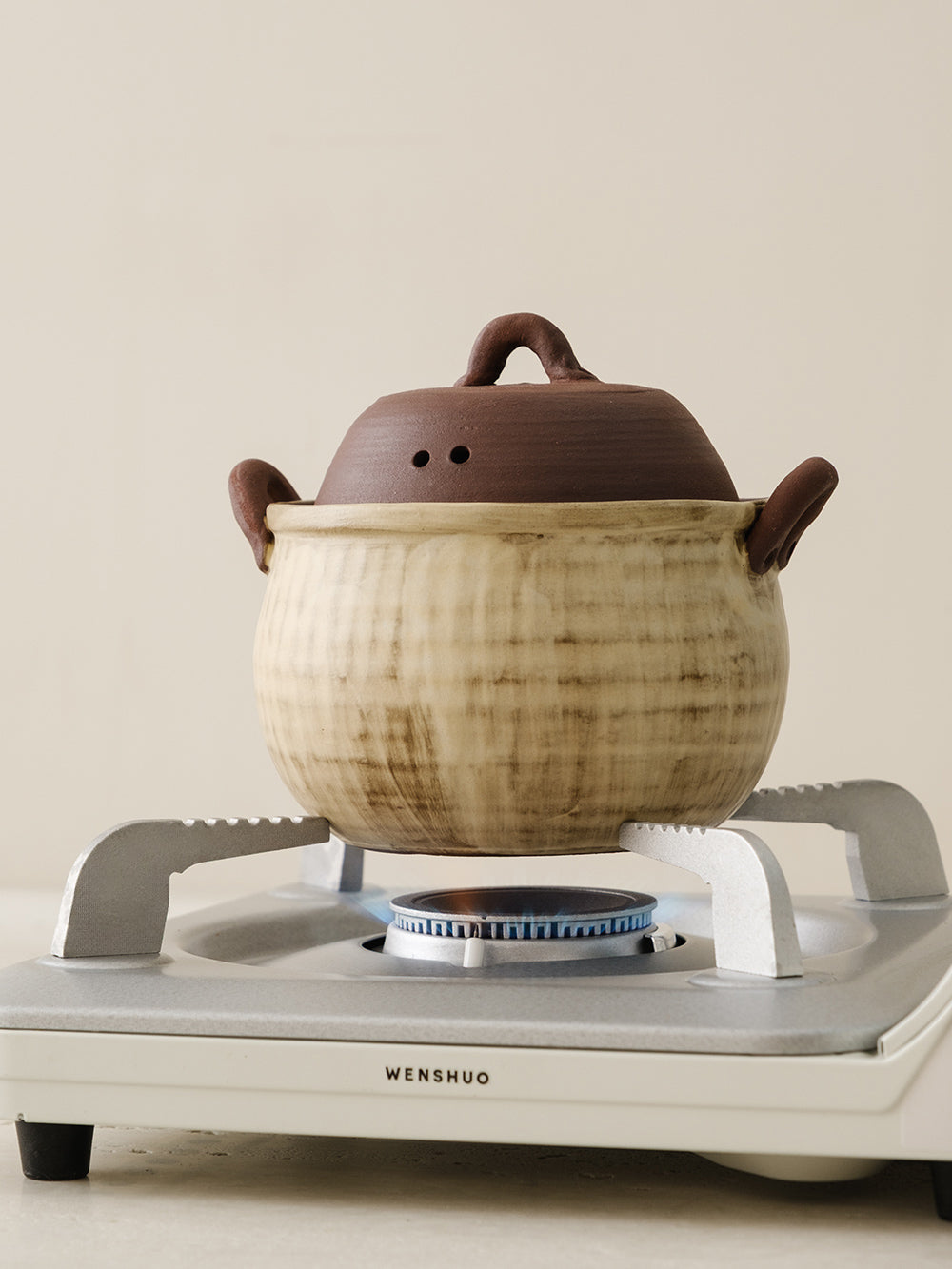 TSUCHI DUAL-HANDLE STEW POT
