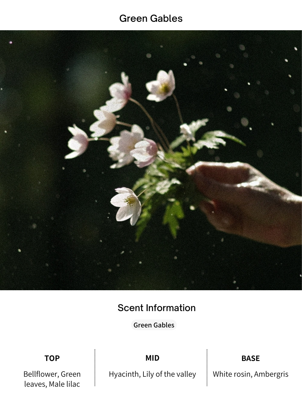 Lumière Chubby Candle Cup